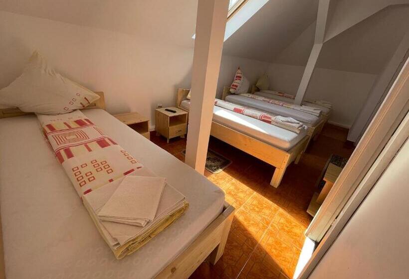 Отель Pensiunea Dora Sasca