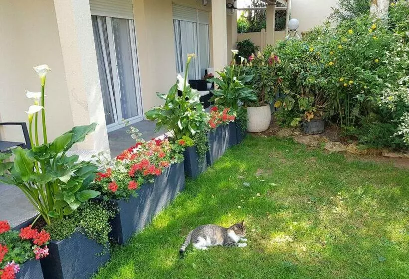 Majatalo 35m2   10 Min De Cdg   30 Min De Paris   10 Du Salon Expo Villepinte