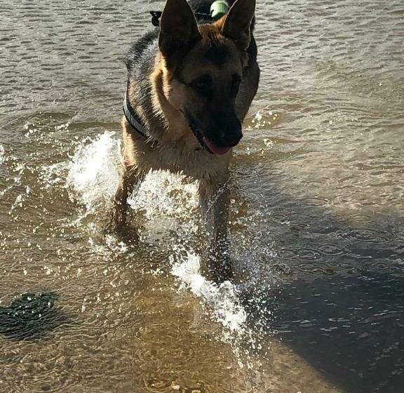 بنسيون Casa Lagoa