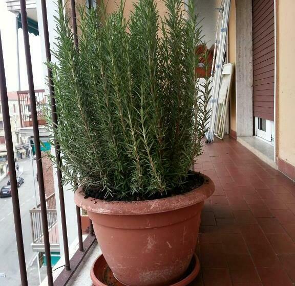 פנסיון La Via Per Milano