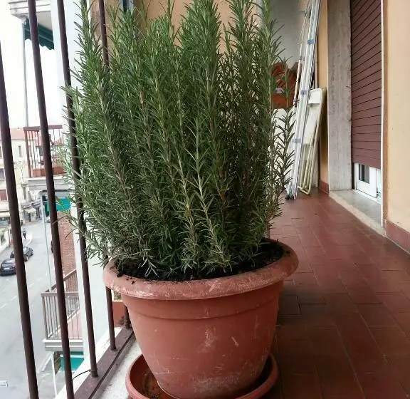 Majatalo La Via Per Milano