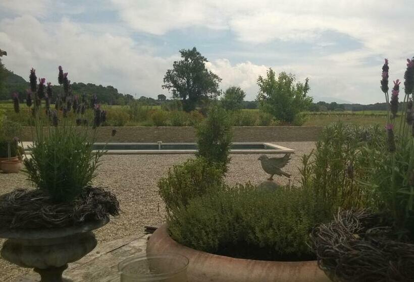 Bed and Breakfast Mas Du Vieux Tilleul