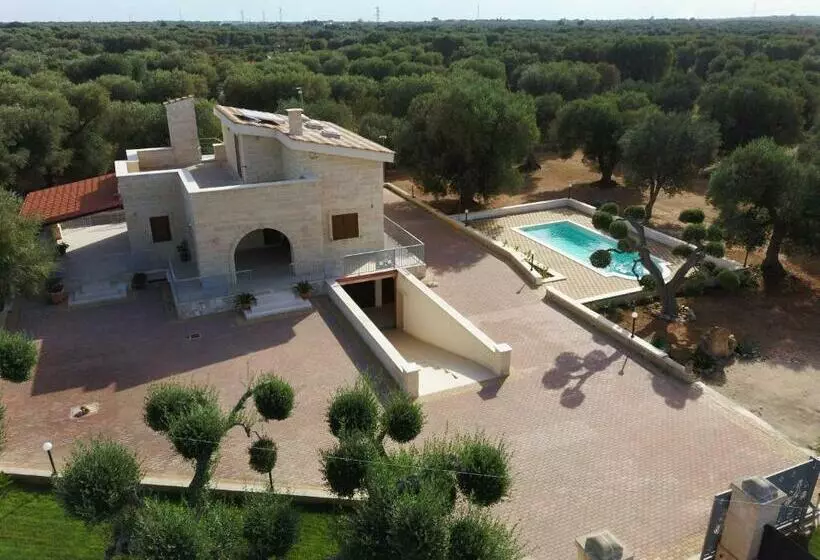 Bed & Breakfast La Dimora Negli Ulivi