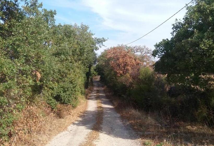 ホテル Agriturismo Sa è Padedda