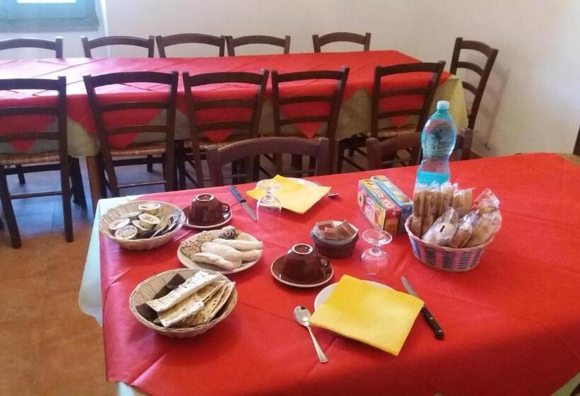 ホテル Agriturismo Sa è Padedda