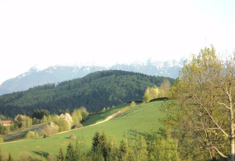 بنسيون Casa De Vis