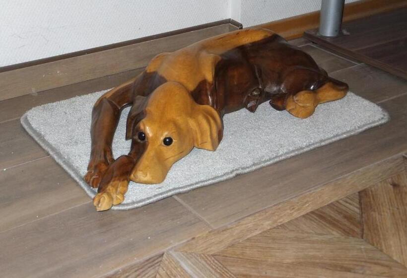 펜션 Rezidence Jiskra