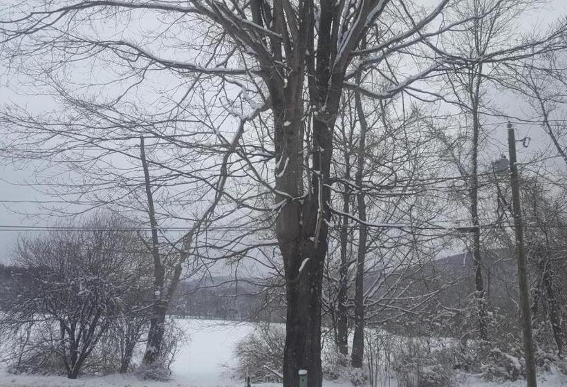 مبيت وإفطار A Meadow House