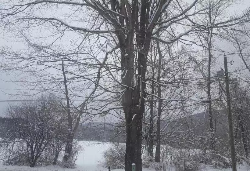 Aamiaismajoitus (B&B) A Meadow House