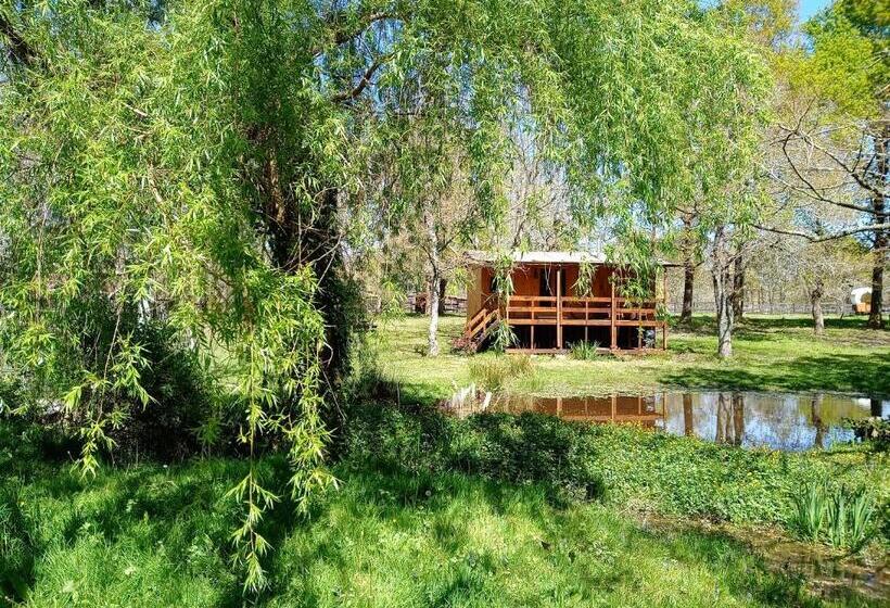 Bed and Breakfast Le Ranch Amadeus