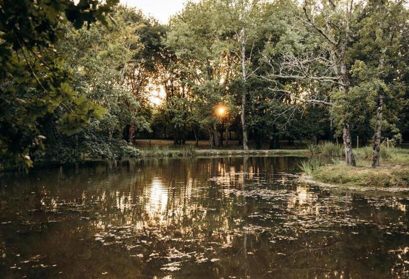 Bed and Breakfast Le Ranch Amadeus