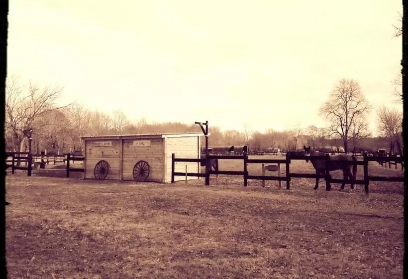 ベッドアンドブレックファースト Le Ranch Amadeus