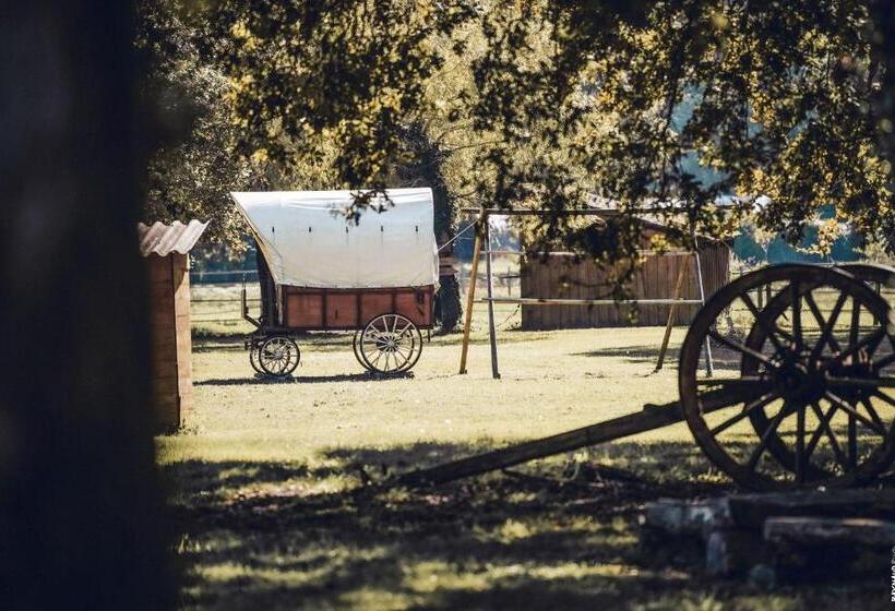 Bed and Breakfast Le Ranch Amadeus