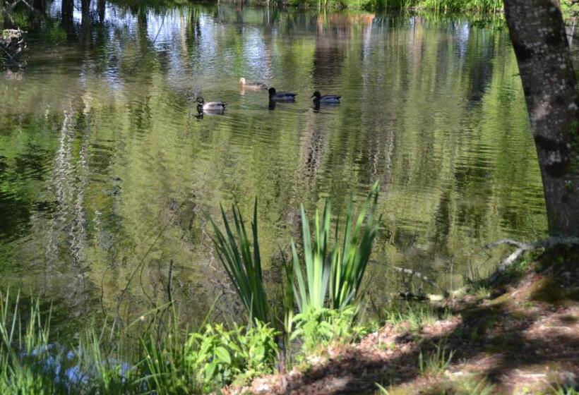 Bed and Breakfast Le Ranch Amadeus