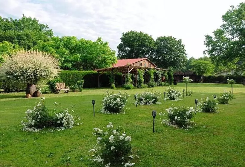 ベッドアンドブレックファースト Le Ranch Amadeus