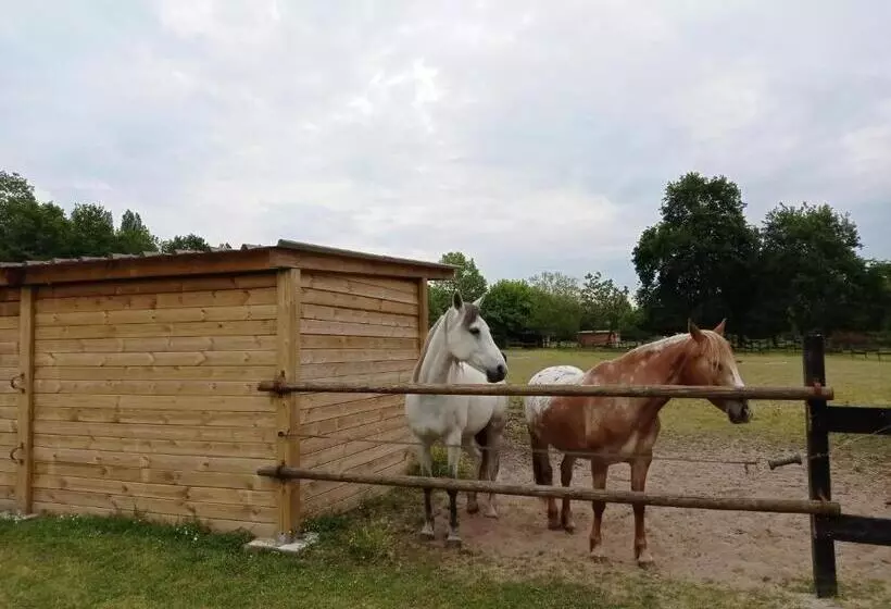 ベッドアンドブレックファースト Le Ranch Amadeus