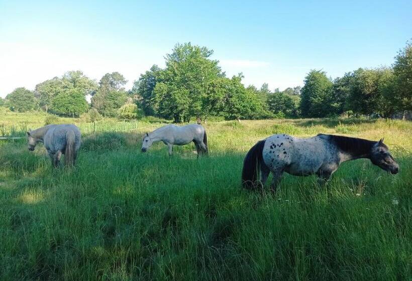 Bed and Breakfast Le Ranch Amadeus