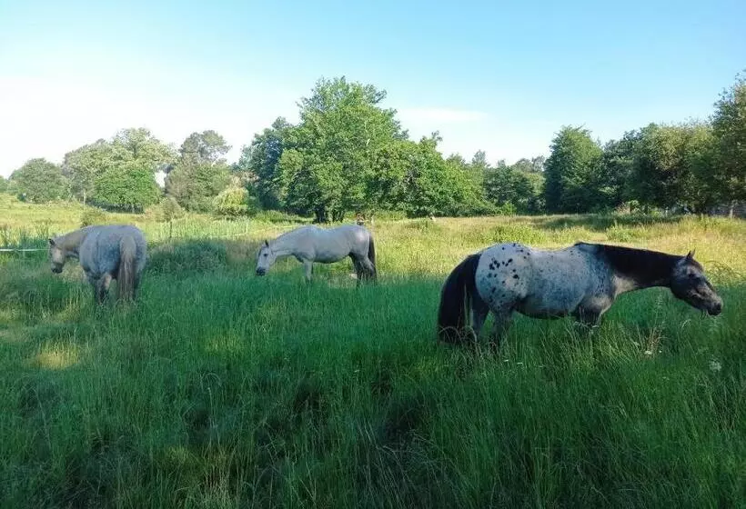 ベッドアンドブレックファースト Le Ranch Amadeus