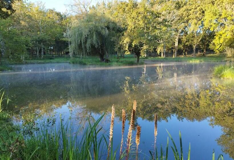 Bed and Breakfast Le Ranch Amadeus