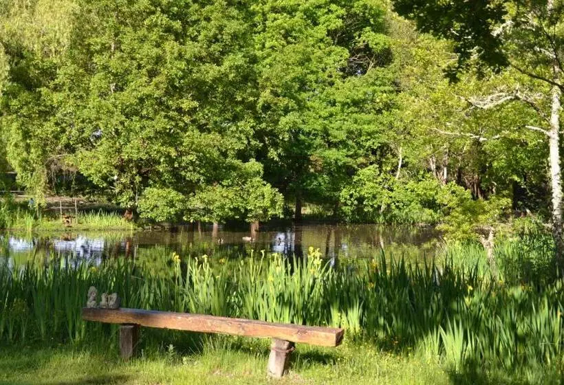 ベッドアンドブレックファースト Le Ranch Amadeus