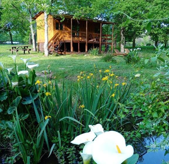 Bed and Breakfast Le Ranch Amadeus