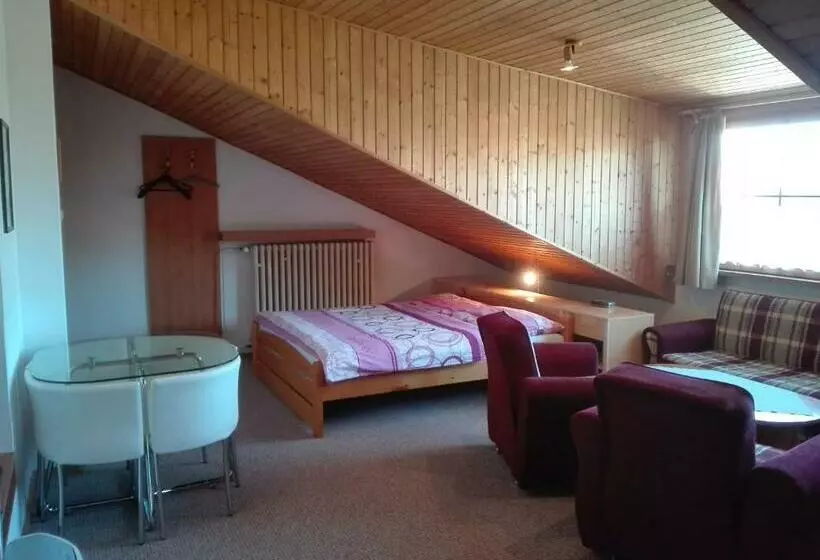 پانسیون Vila Mirka