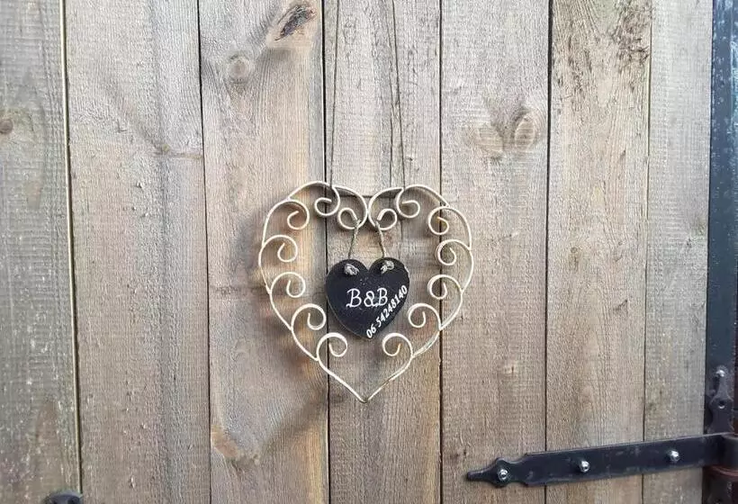 B&b In De Dorpsstraat