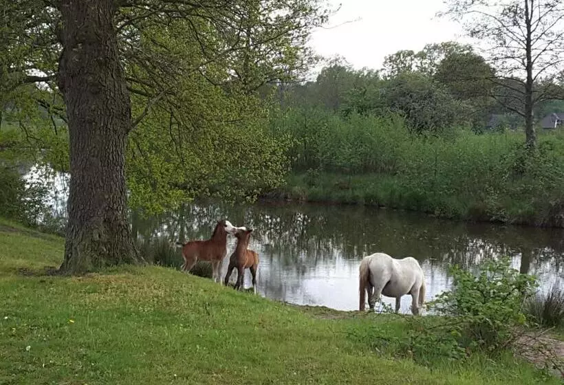 B&b In De Dorpsstraat
