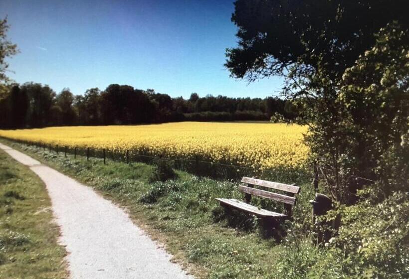 B&b In De Dorpsstraat