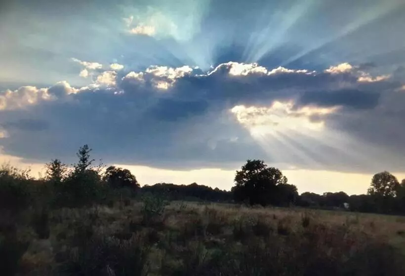 B&b In De Dorpsstraat