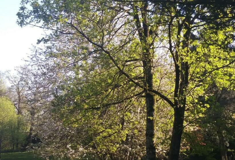 ベッドアンドブレックファースト Les Hôtes Du Prieuré