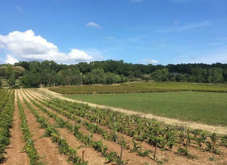 مبيت وإفطار Mas De Costebelle