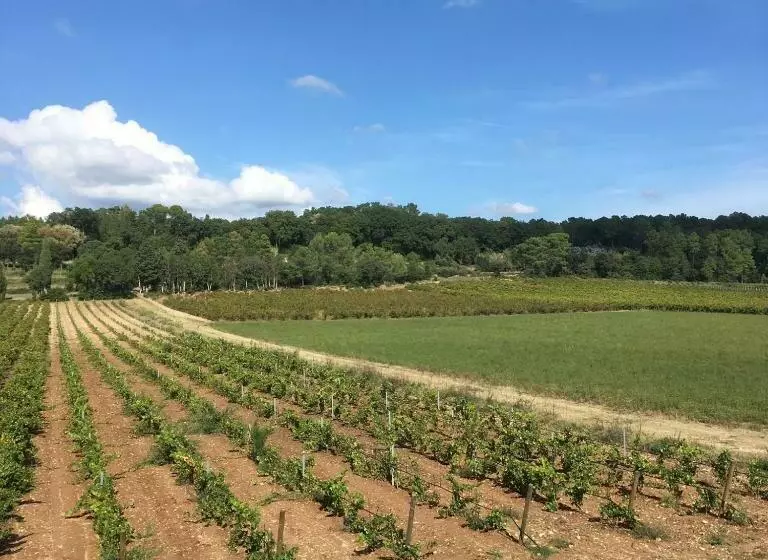 Aamiaismajoitus (B&B) Mas De Costebelle