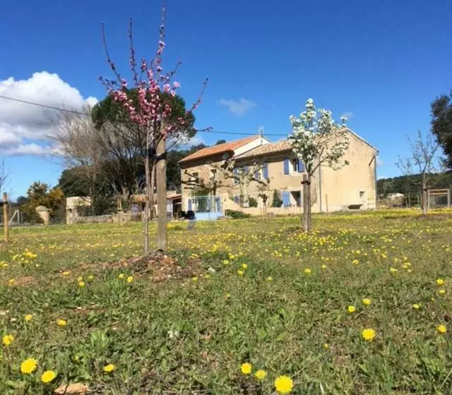 Aamiaismajoitus (B&B) Mas De Costebelle