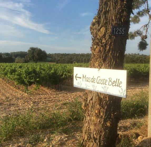 مبيت وإفطار Mas De Costebelle