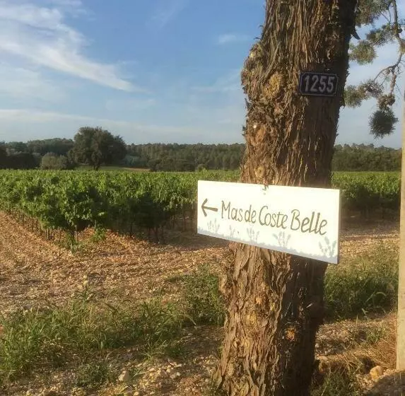 Aamiaismajoitus (B&B) Mas De Costebelle