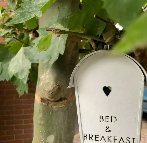 Bed & Breakfast Aan De Banis