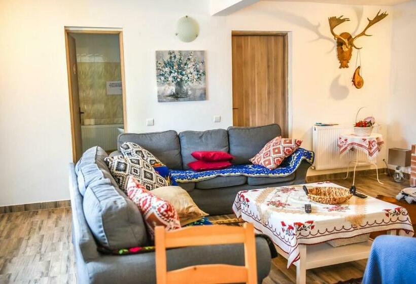 Отель Pensiunea Silva