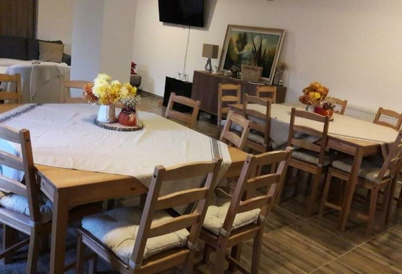 Отель Pensiunea Silva