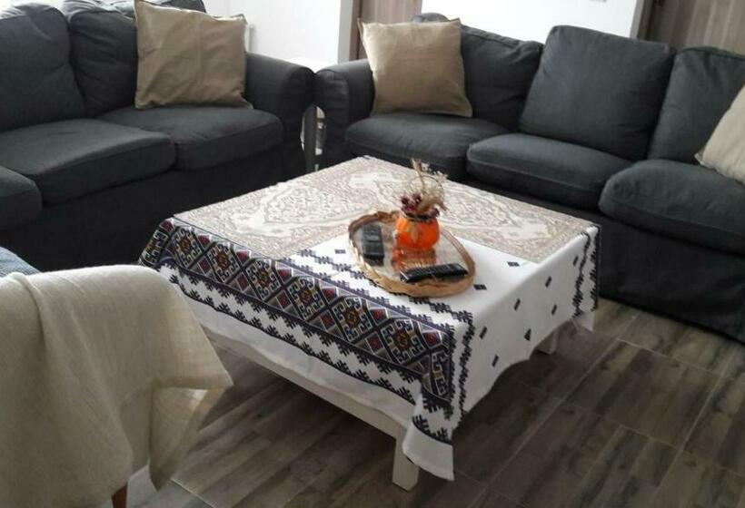 Отель Pensiunea Silva