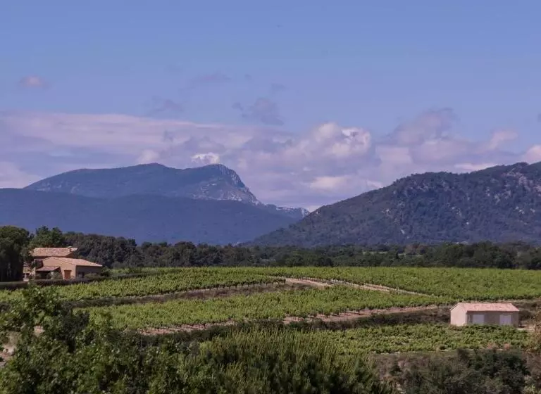 Majatalo A L Ombre Du Ventoux