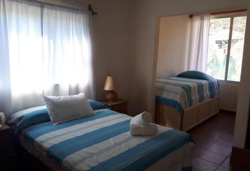 بنسيون La Vivienda Villa