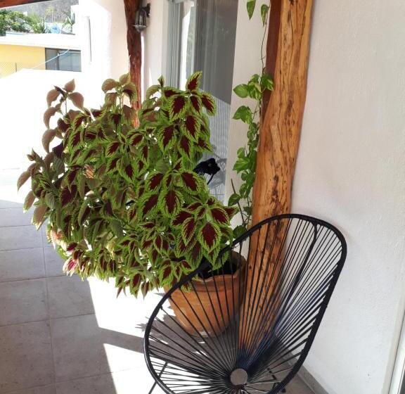 بنسيون La Vivienda Villa