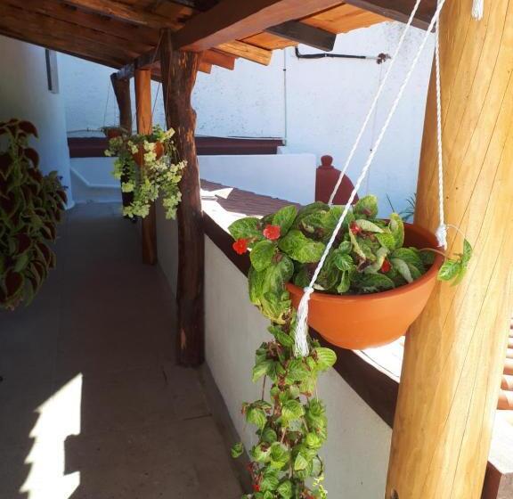 بنسيون La Vivienda Villa