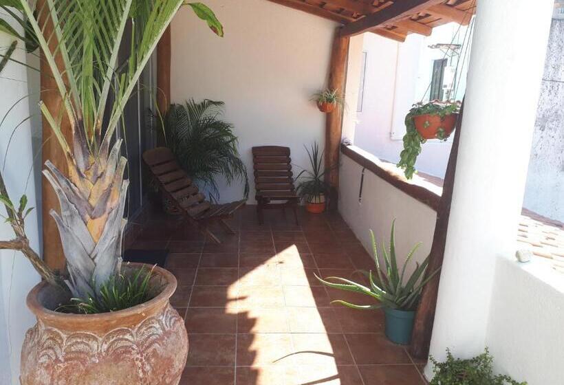 بنسيون La Vivienda Villa