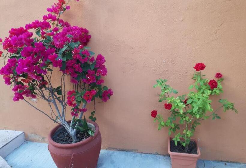 بنسيون La Vivienda Villa