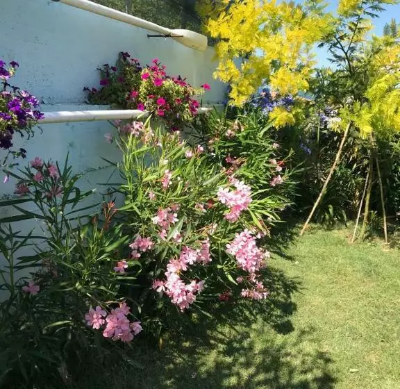 تختخواب و صبحانه Casa La Conchiglia