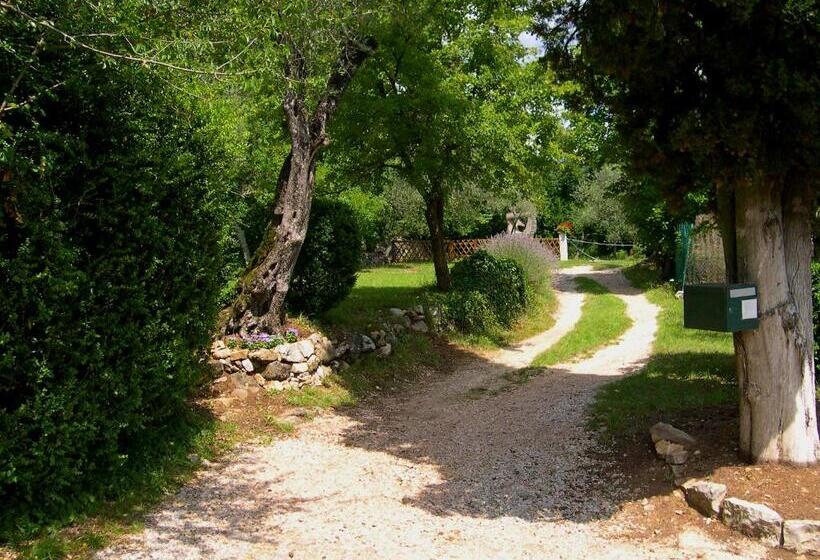 Domaine Du Paraïs B&b