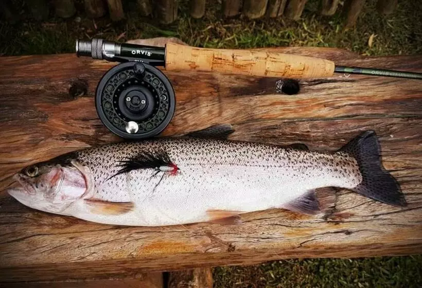 ホテル Copperleigh Trout Cottages