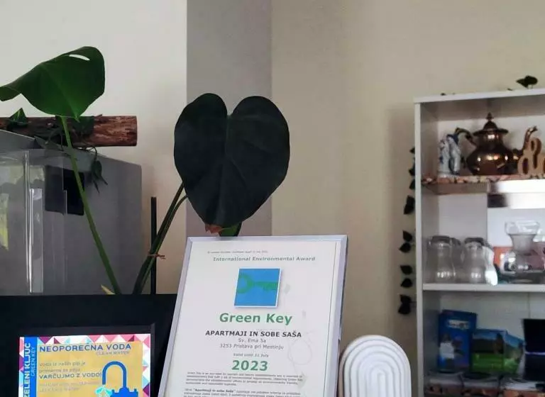 پانسیون Apartments & Rooms Saša